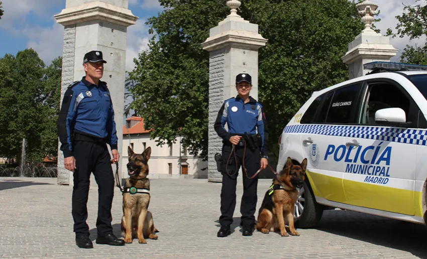 dos policías uniformados al lado de un coche patrulla con dos perros policías