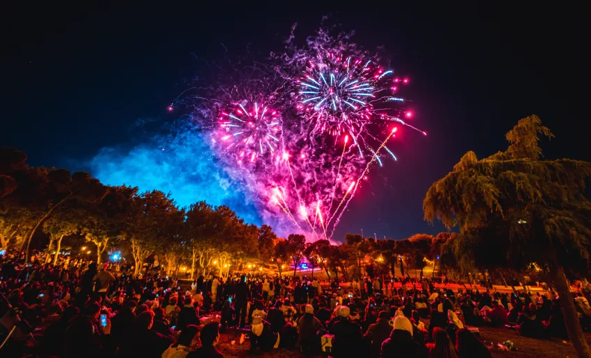 fuegos artificiales en colores rosas y azules