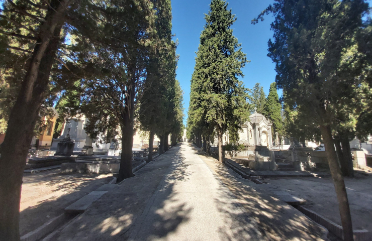 Cementerio de San Isidro